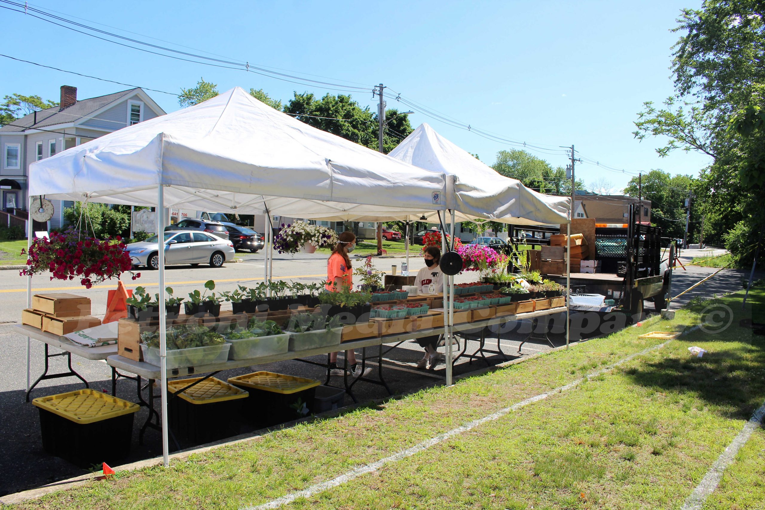 SLIDESHOW Opening of the Ashland Farmers Market Framingham Source