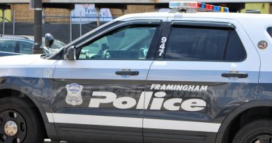 Updated Framingham Battled Fire At, Franny’s Landscape Co Framingham Ma