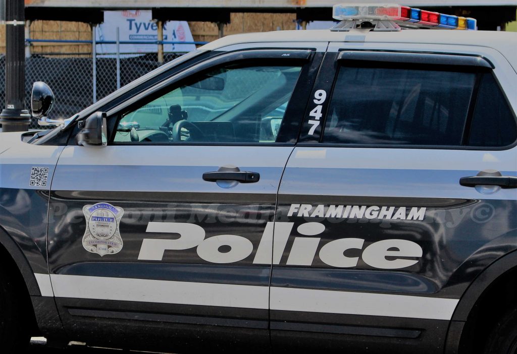 FRAMINGHAM SCANNER visual data 2