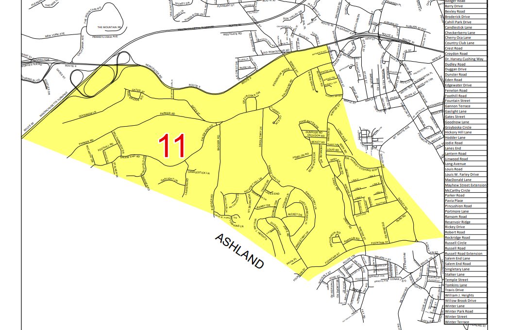 FRAMINGHAM STREET SWEEPING visual data 5