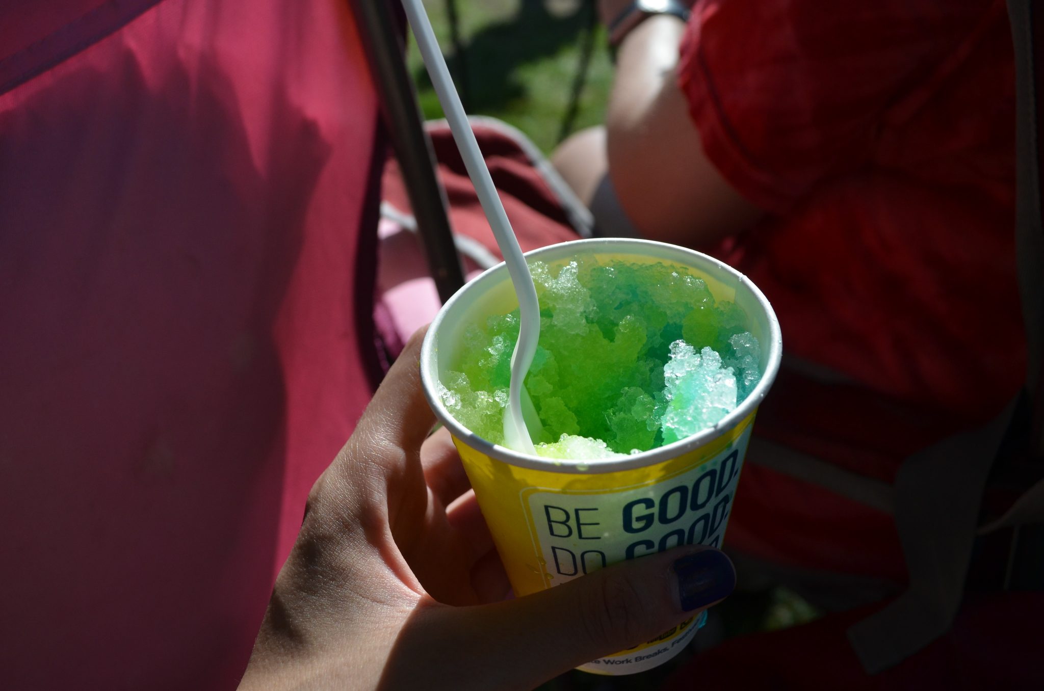 PHOTOS Woodcrest Acres Neighborhood Hosts Independence Day Block Party