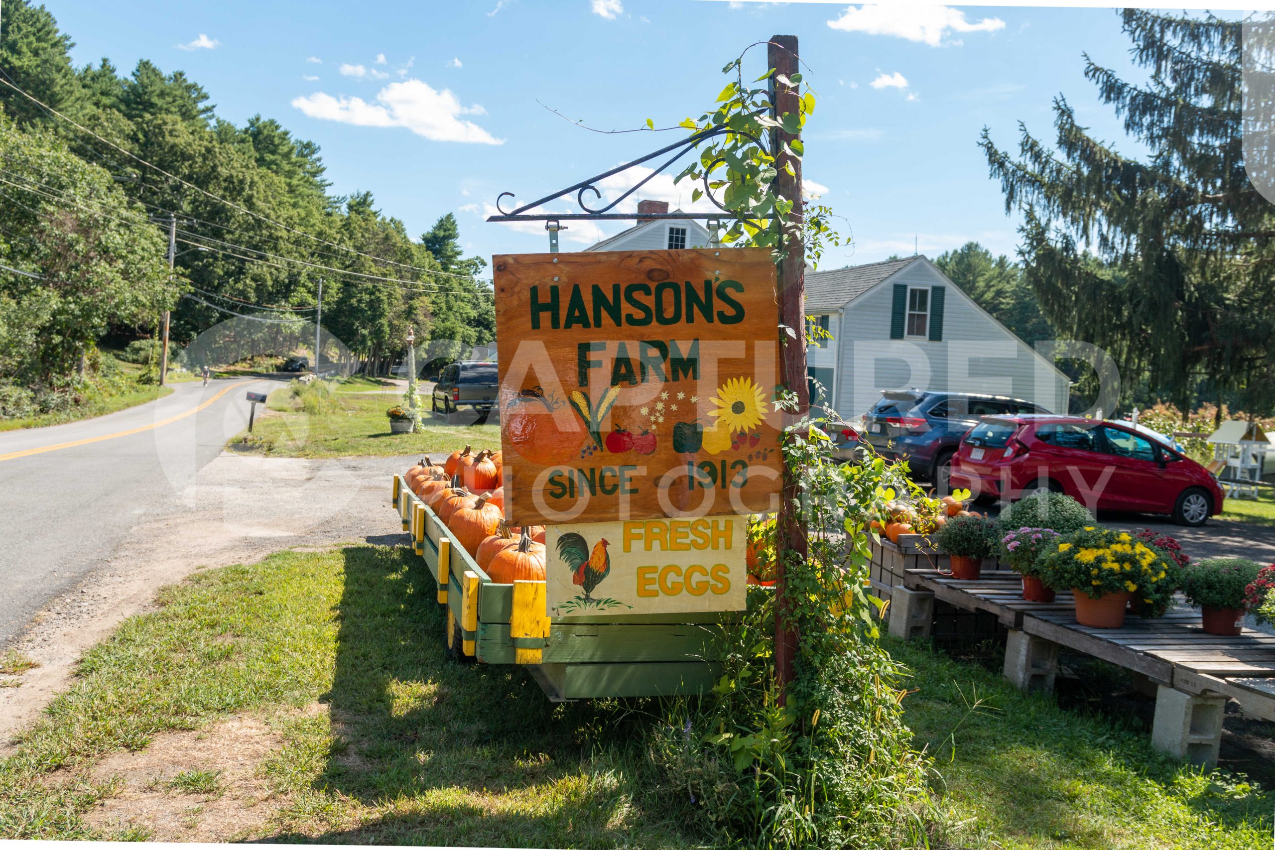 PHOTOS Spend a Fall Day at Hanson's Farm in Framingham Framingham Source