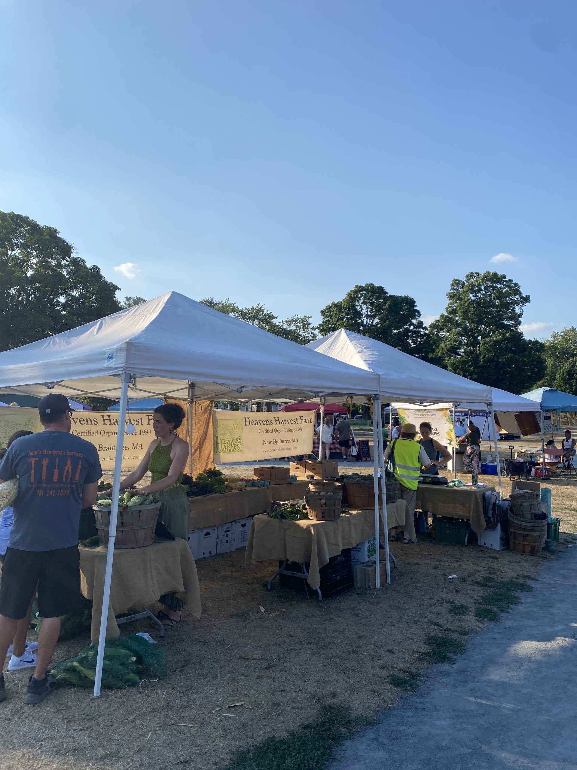 Framingham Farmers' Market Revitalized Under Sisitsky Administration