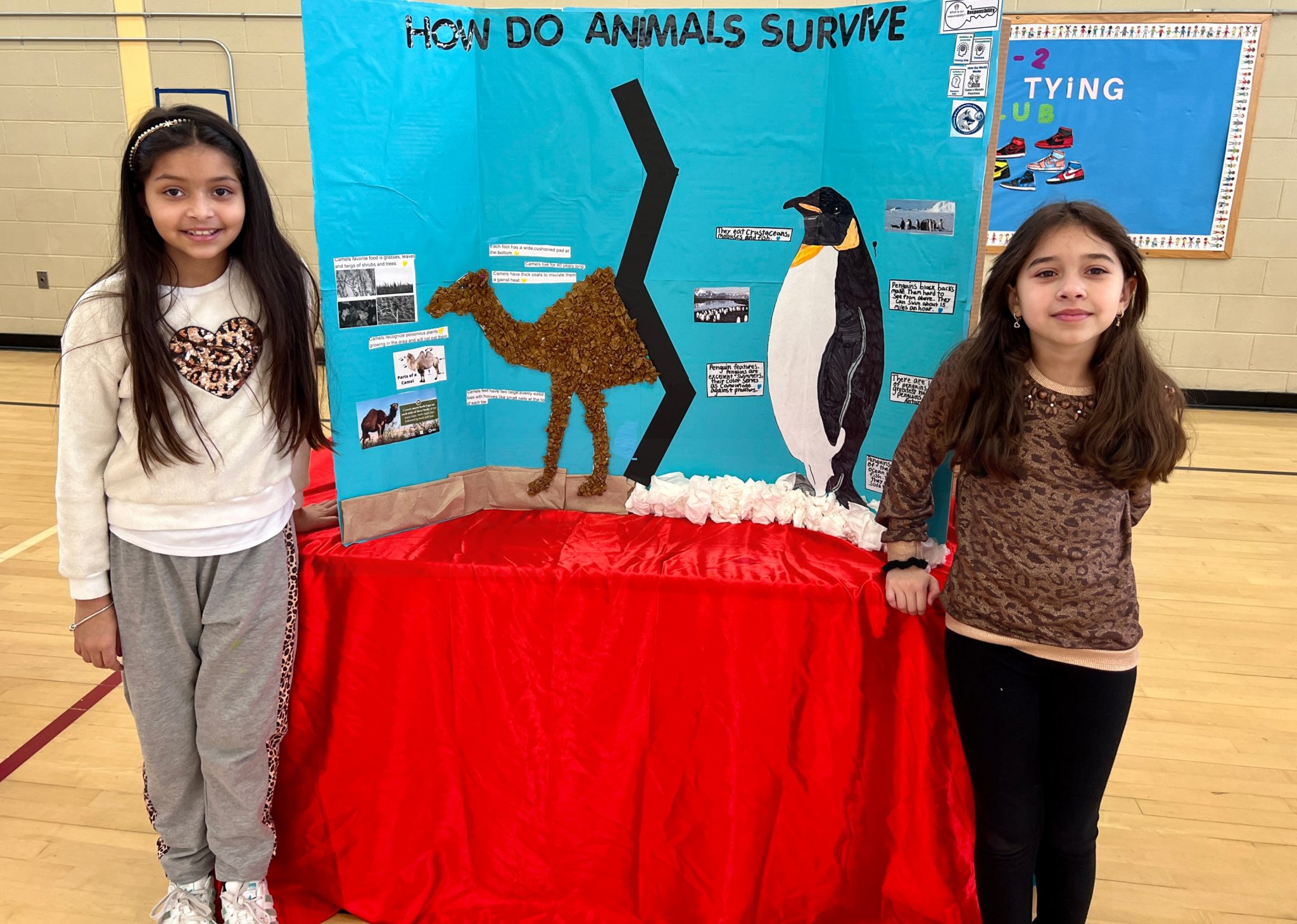 PHOTO GALLERY Harmony Grove Science Fair Framingham Source