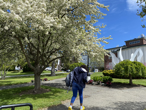 Student walks on the MassBay Wellesley Hills campus, Wellesley Hills, MA.