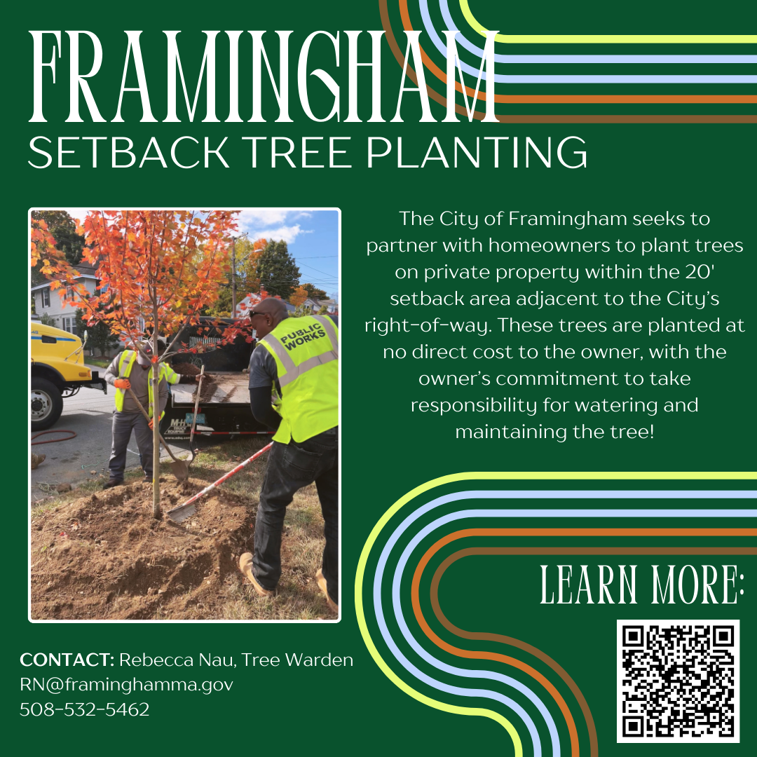 Setback Tree Planting