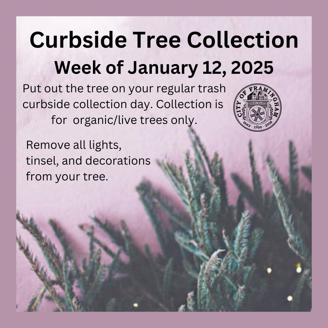 Curbside Live Christmas Tree Collection Week of January 12, 2025