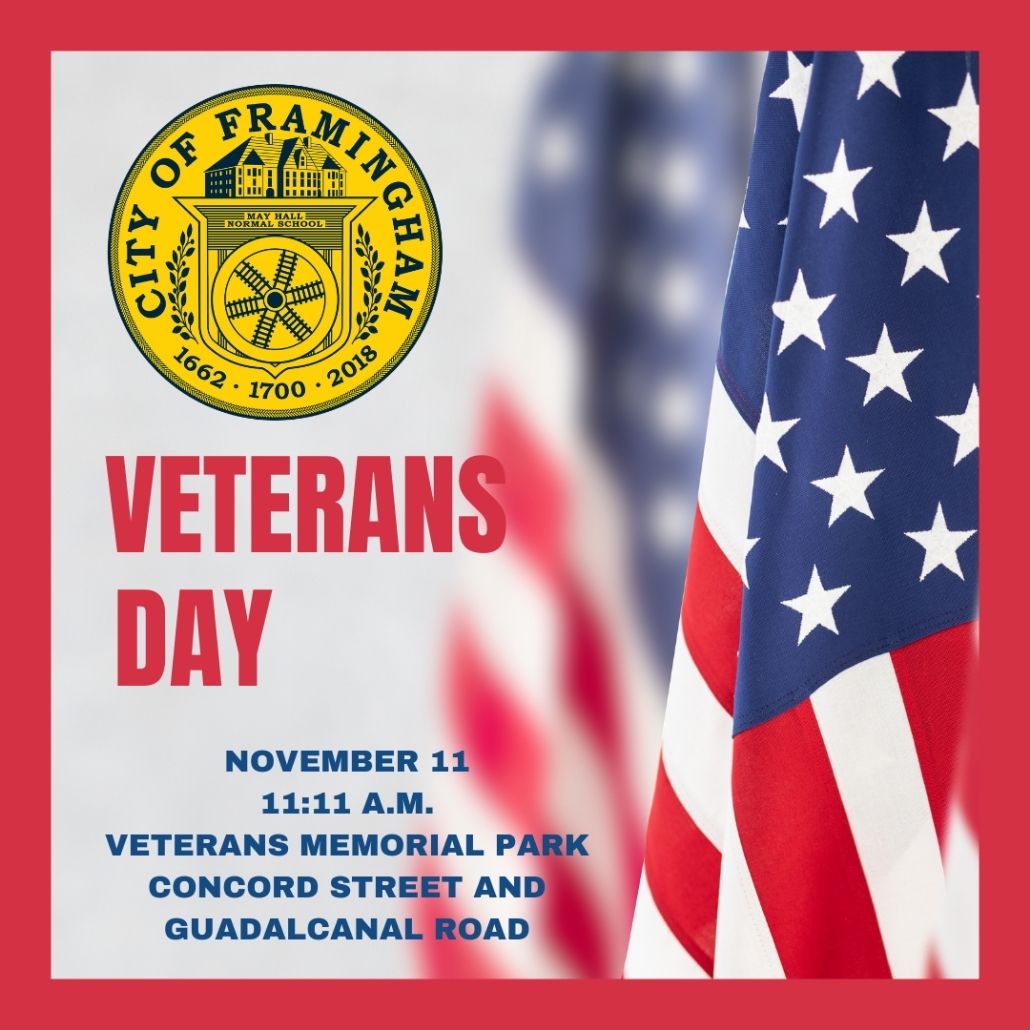 Veterans day celebration